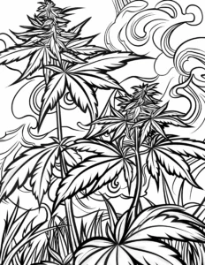 Cannabis Growing in Field Coloring Book Preview 2