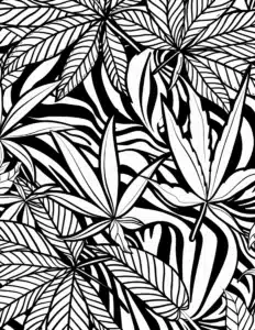 Cannabis Leaf Coloring Page Preview