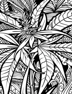 Cannabis Plant Tribal Style Coloring Page Preview